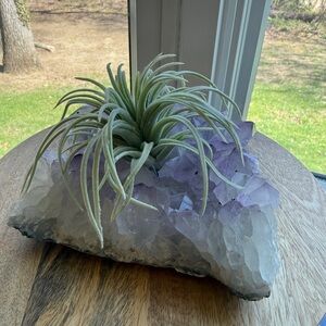 Amethyst Tea Candle Holder with Faux Airplant
